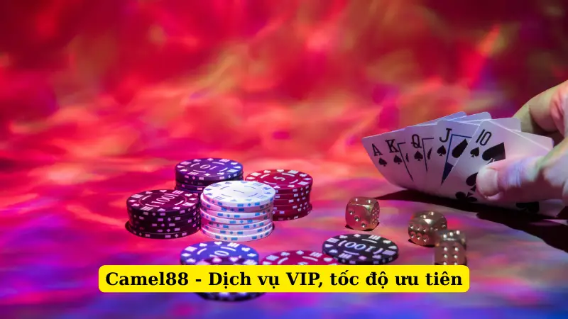 Camel88 - Dịch vụ VIP, tốc độ ưu tiên