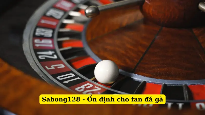Sabong128 - Ổn định cho fan đá gà